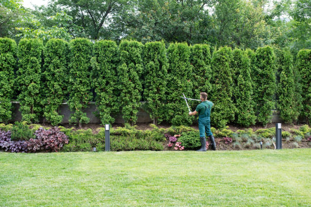 Trusted Perry, OH Tree Removal and Landscaping Services Experts